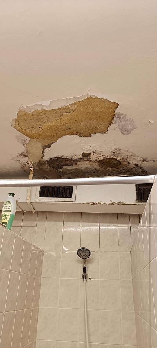 whostsar's tweet photo. studenti jsou rozmazleny kdyz jim prijde absurdni platit 5k za kolej, ktera vypada takhle: https://t.co/93kdMzf8hp