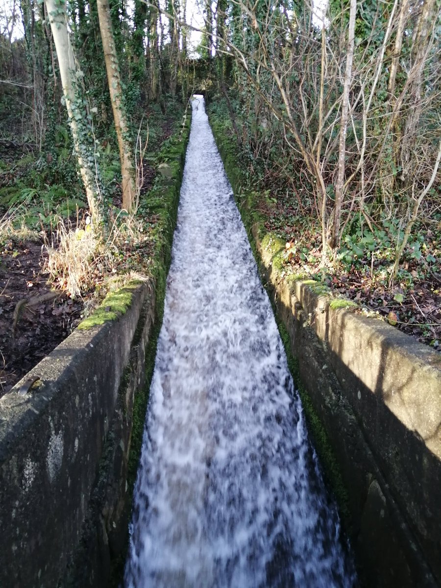 Gingerjane43's tweet photo. Blessed to have this on our doorstep, sometimes hard getting L1 out these days now he's discovering tech.
Nervous/exc.. for Tom placement 8 weeks at orthopedics &amp; surgery #OT I start questioning my capabilities before hand #impostersyndrome
On the day I. L let courage takeover ✌️ https://t.co/5yvqPJHiX3