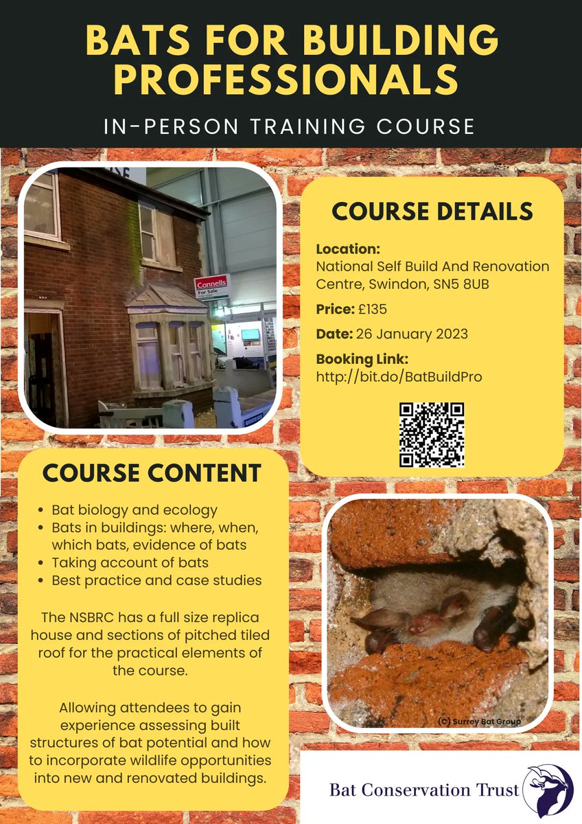 _BCT_'s tweet photo. The 'Bats for Building Professionals' In-Person Training Course is still available to book!

Held on 26 Jan at the @NSBRC

Eligible for Tier 1 @CITB_UK  grant 

Don't miss your chance, book today: https://t.co/z4c5UEpjwG

#buildingsite #buildingprofessional #CPD #CPDtraining #bat https://t.co/TGQSsiMfGX