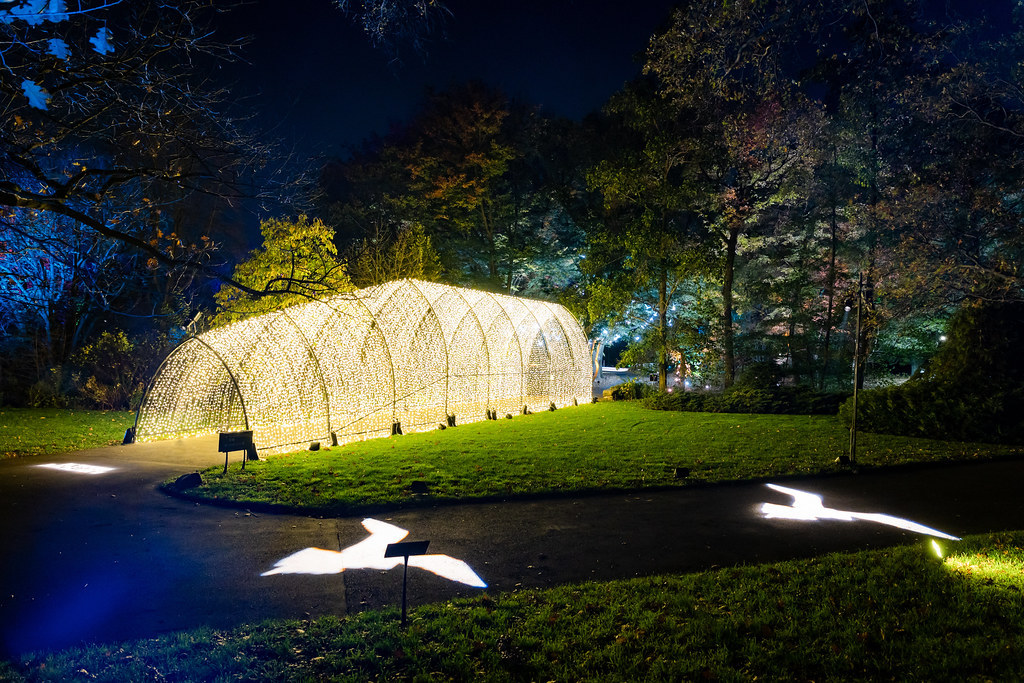 BrooklynBotanic's tweet photo. Tonight is the last night of #LightscapeBrooklyn 2022-23! Thank you to all who joined us and we can't wait to see you again next year!
Lead sponsor, @conedison. Supporting partner, @jpmorgan. Produced in partnership with Sony Music. Illuminated trail created by Culture Creative. https://t.co/6EH0ah3TST