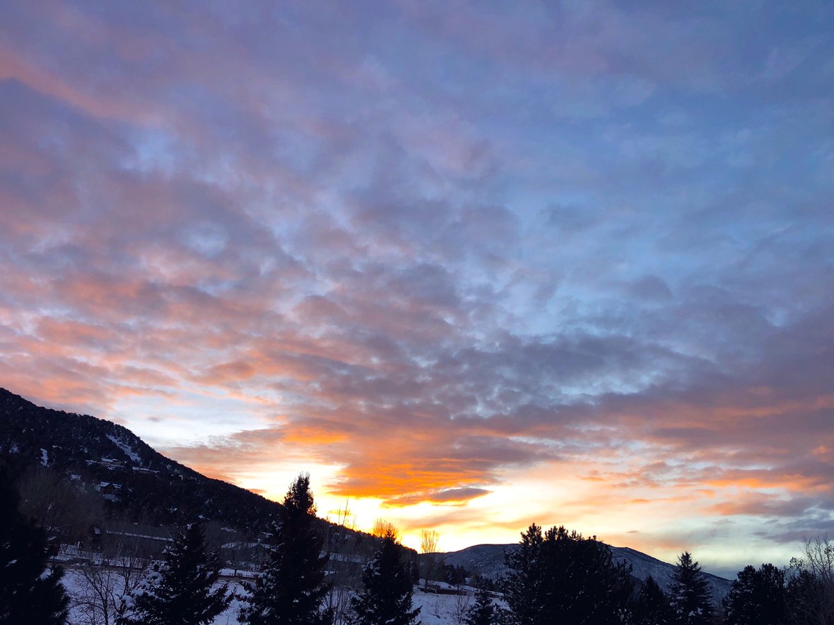 Jilly Bean tweet media