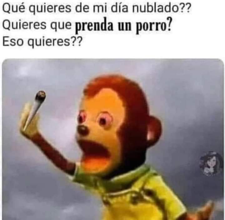BreakinGatos's tweet photo. Eso quieres? https://t.co/OucWysfjU4