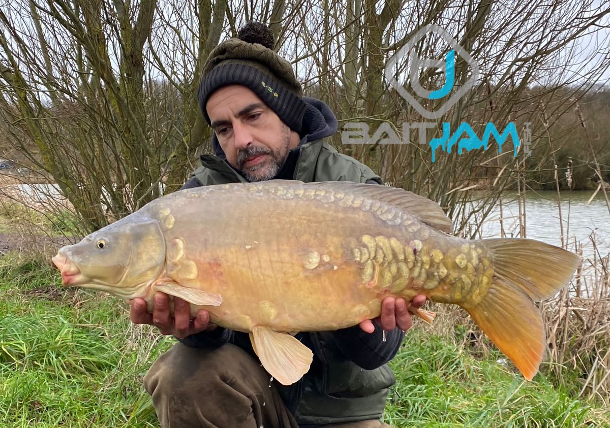 BaitJam's tweet photo. 🔥Another from Sal with this 21lb mirror, caught on our Krill Kritter range during his recent session!

>>>https://t.co/SDE0sqqEC3<<<

#baitjam #teambaitjam #krillkritter #boilies #popups #wafters #fishing #angling #carpfishing #carpangling #carp https://t.co/14gz5wikP4