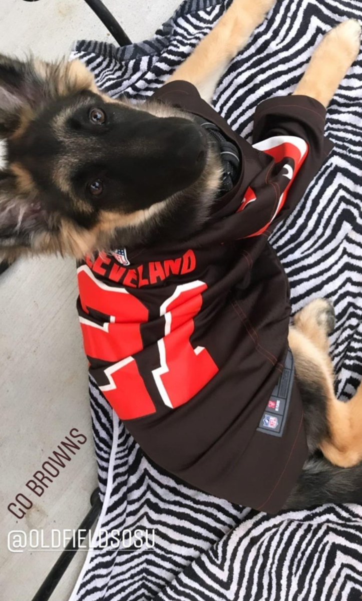 OldfieldsOSU's tweet photo. #DAWGCHECK @clevelandbrowns
Let's ruin the @steelers season!
Games not on TV - but we have ALL the games! @buffalo_mike23 on the booze.
#GetChitty https://t.co/nBYAUqU6yR