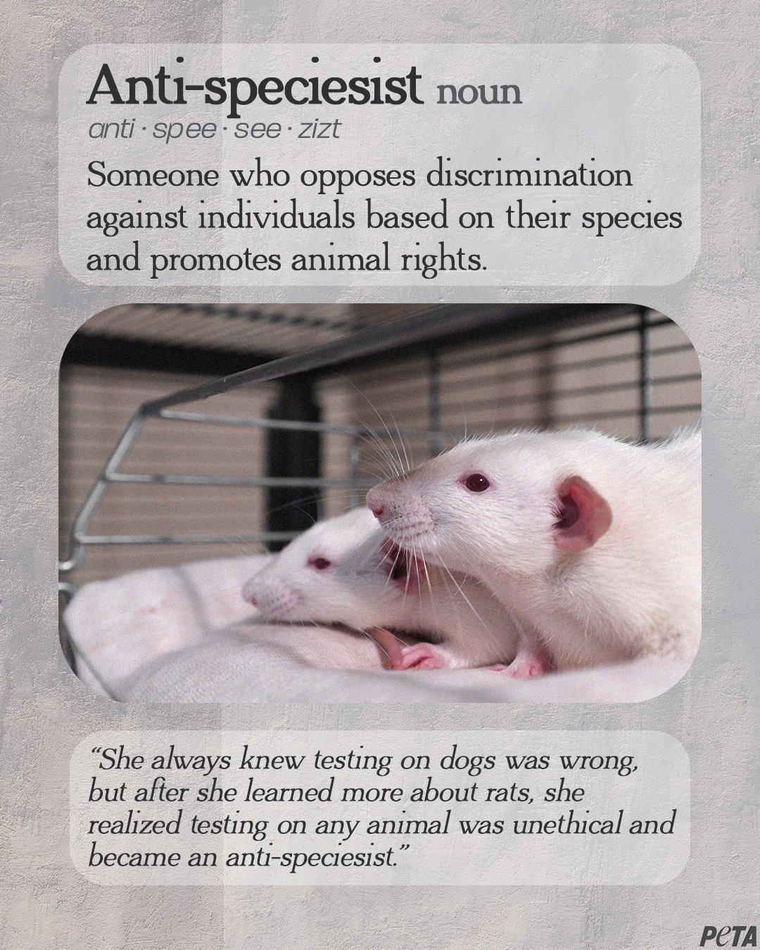 PETA on Twitter: PETA on Twitter: