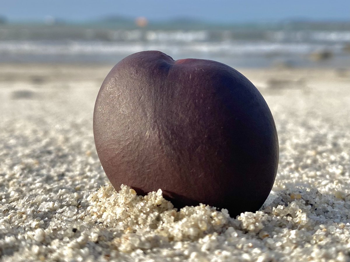 St. Mary’s Patch tweet media