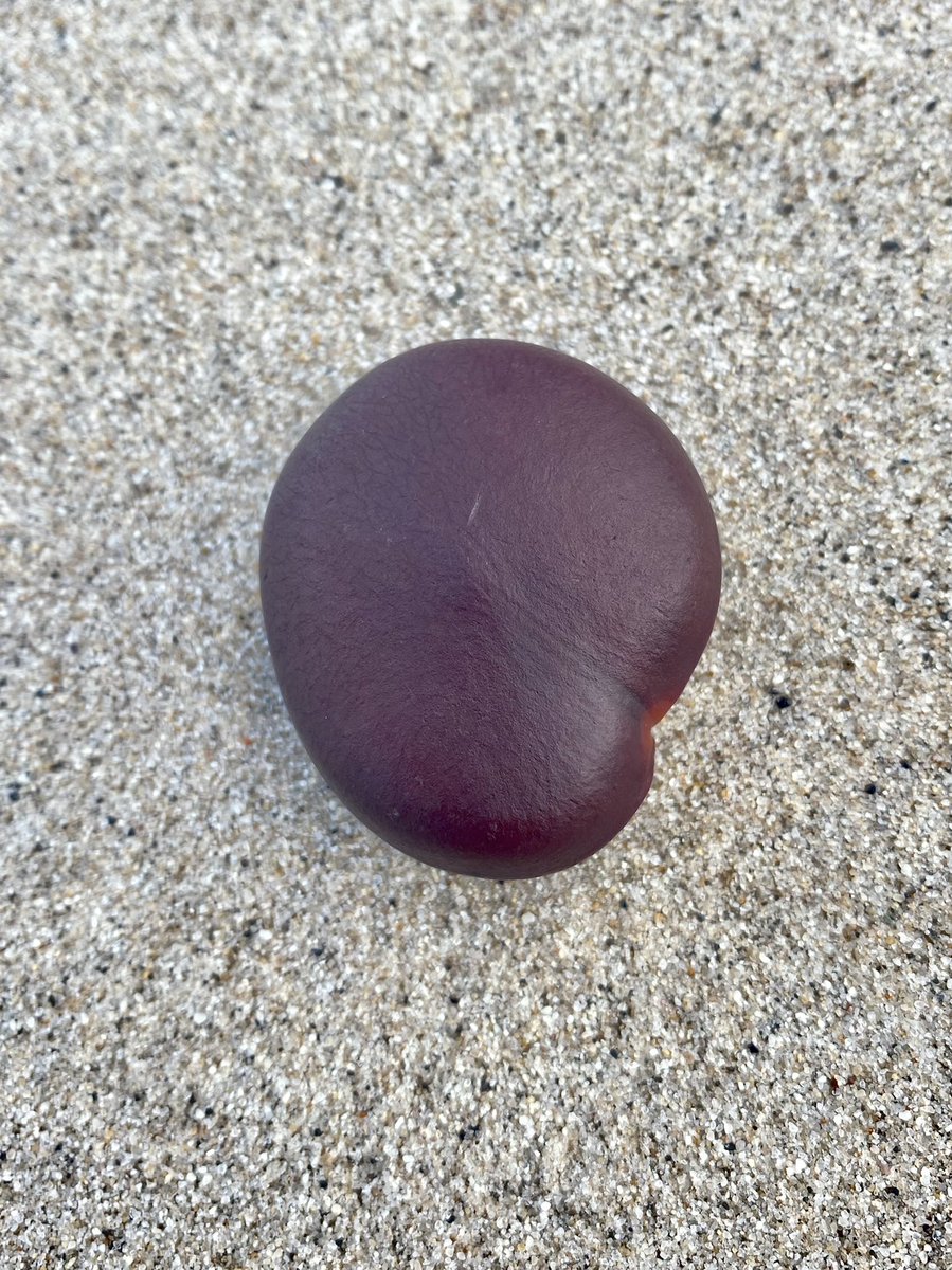 St. Mary’s Patch tweet media