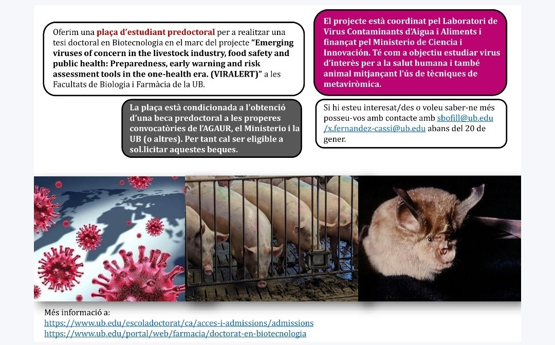 ‼️Vols fer una tesi sobre virus rellevants en salut pública i indústria alimentària utilitzant tècniques de seqüènciació massiva? Doncs això t'interessa 👇