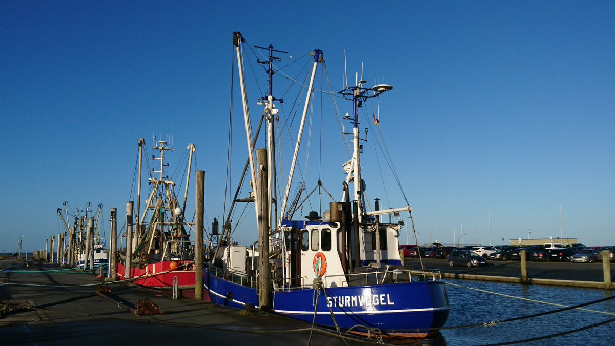 DieseEineKurve's tweet photo. #Nordsee #Dorum https://t.co/k0PCy5Hz81