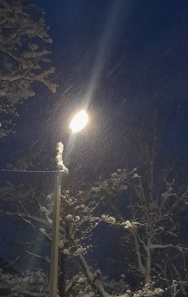 чай. (@ufubz) on Twitter photo 