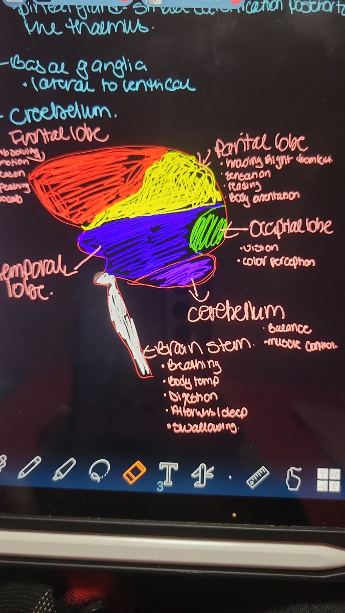 Moonlover_xo's tweet image. I mean I guess I can be an artists if all else fails #visuallearner