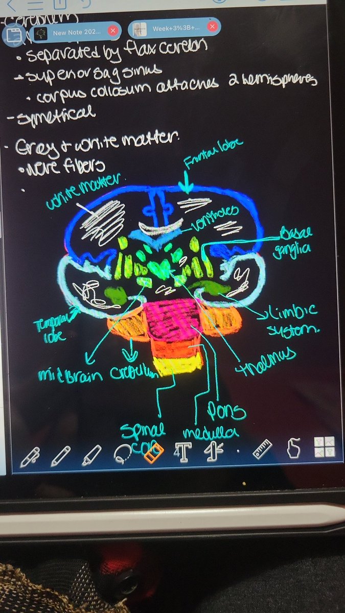Moonlover_xo's tweet image. I mean I guess I can be an artists if all else fails #visuallearner