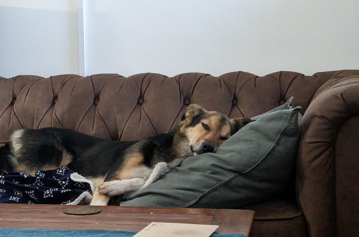 Hannah Wright tweet media