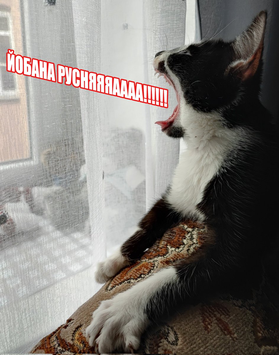 <a href="/CaIedonia_sI/">New CaІеdоnіа * зовнішньо переміщена особа</a>