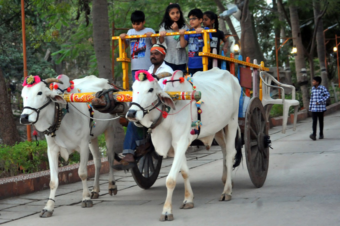 eenadulivenews's tweet image. Sankranti: శిల్పారామంలో సంక్రాంతి సంబరాలు
మ‌రిన్ని చిత్రాల కోసం క్లిక్ చేయండి bit.ly/3GLM0FM
#Sankranti  #Shilparamam #Photogallery #teluguNews