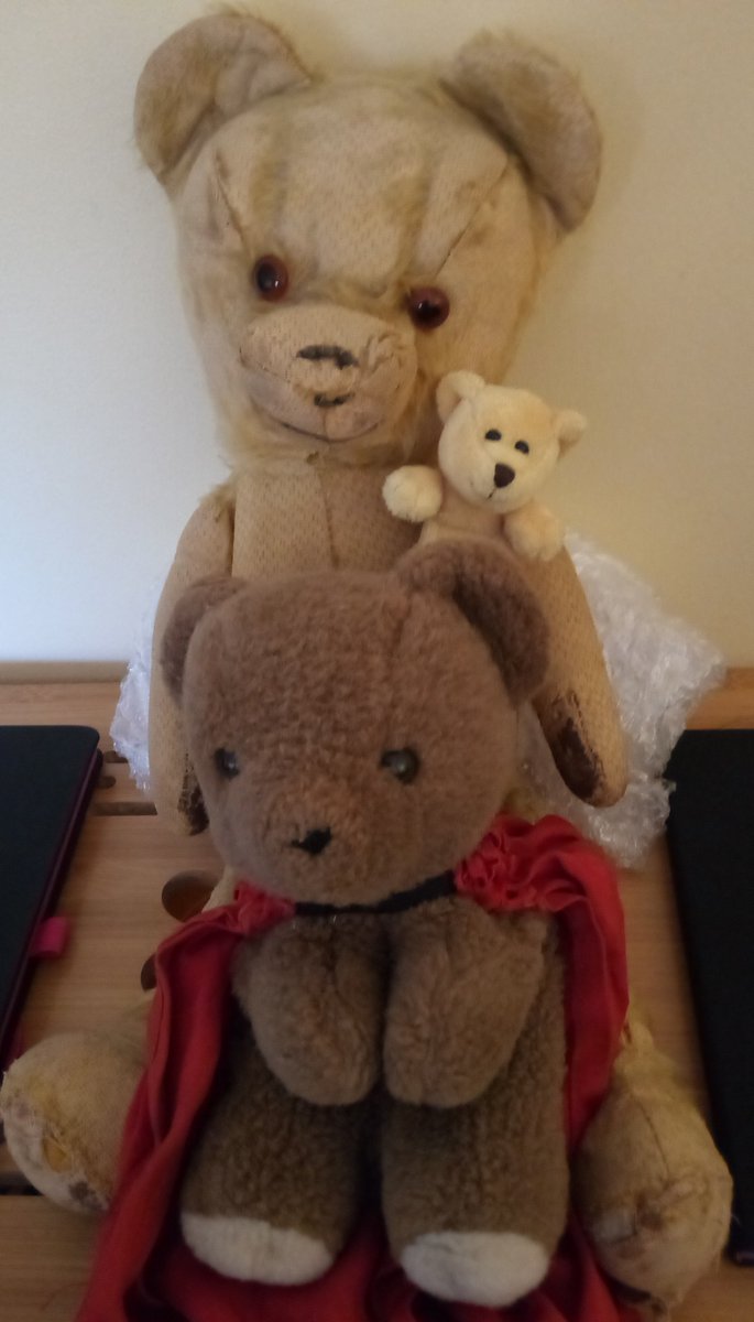 mariadonovanwri's tweet image. The Bears are Back in Town #outofstorage