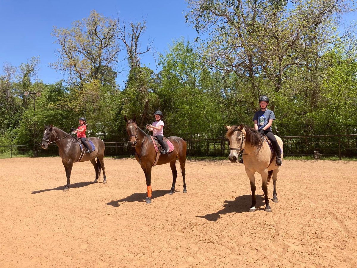 The VPF Team is back at it in 2023. What are your riding goals for this year?
#horsebackriding #saddleseat #horsebackridinglessons #vpfteam #asbdreams #tomballtexas