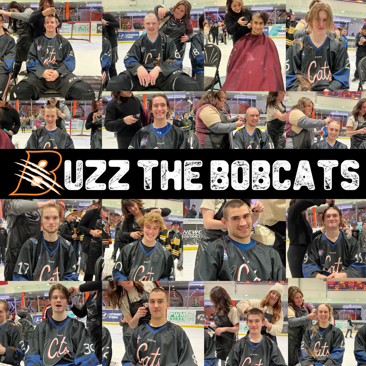 Bobcats Hockey tweet media