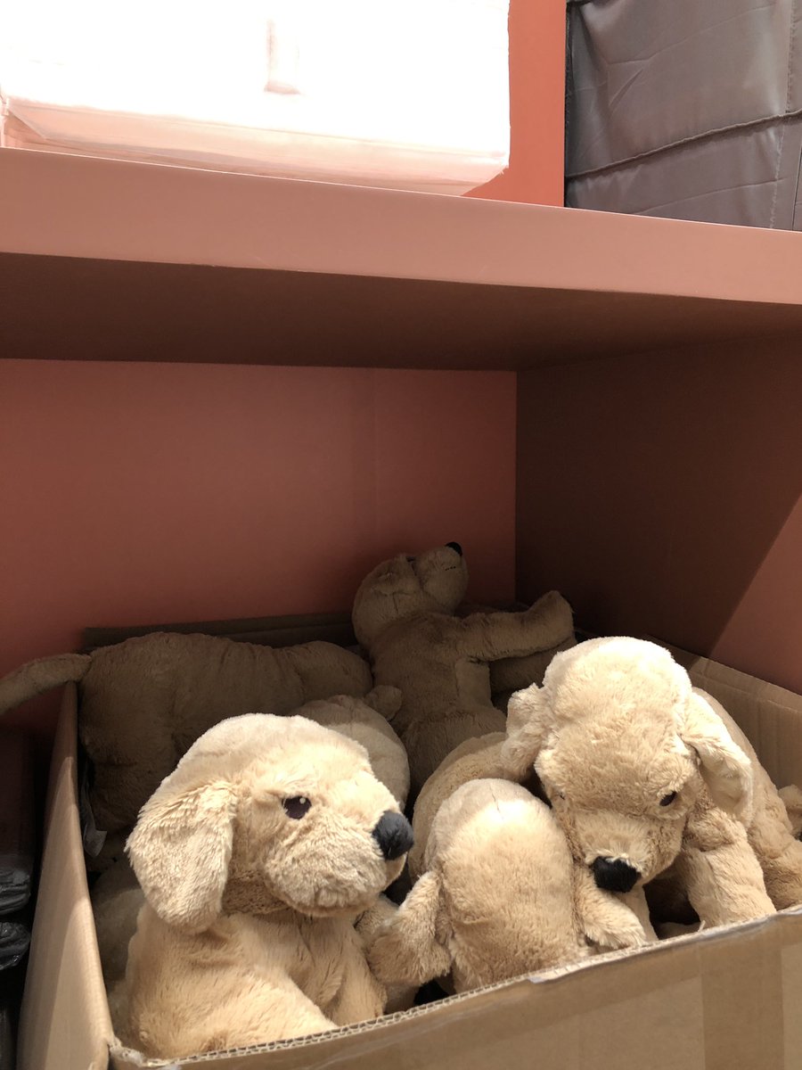 fajarsm__'s tweet photo. please adopt me, https://t.co/Fgw0QON6Uj