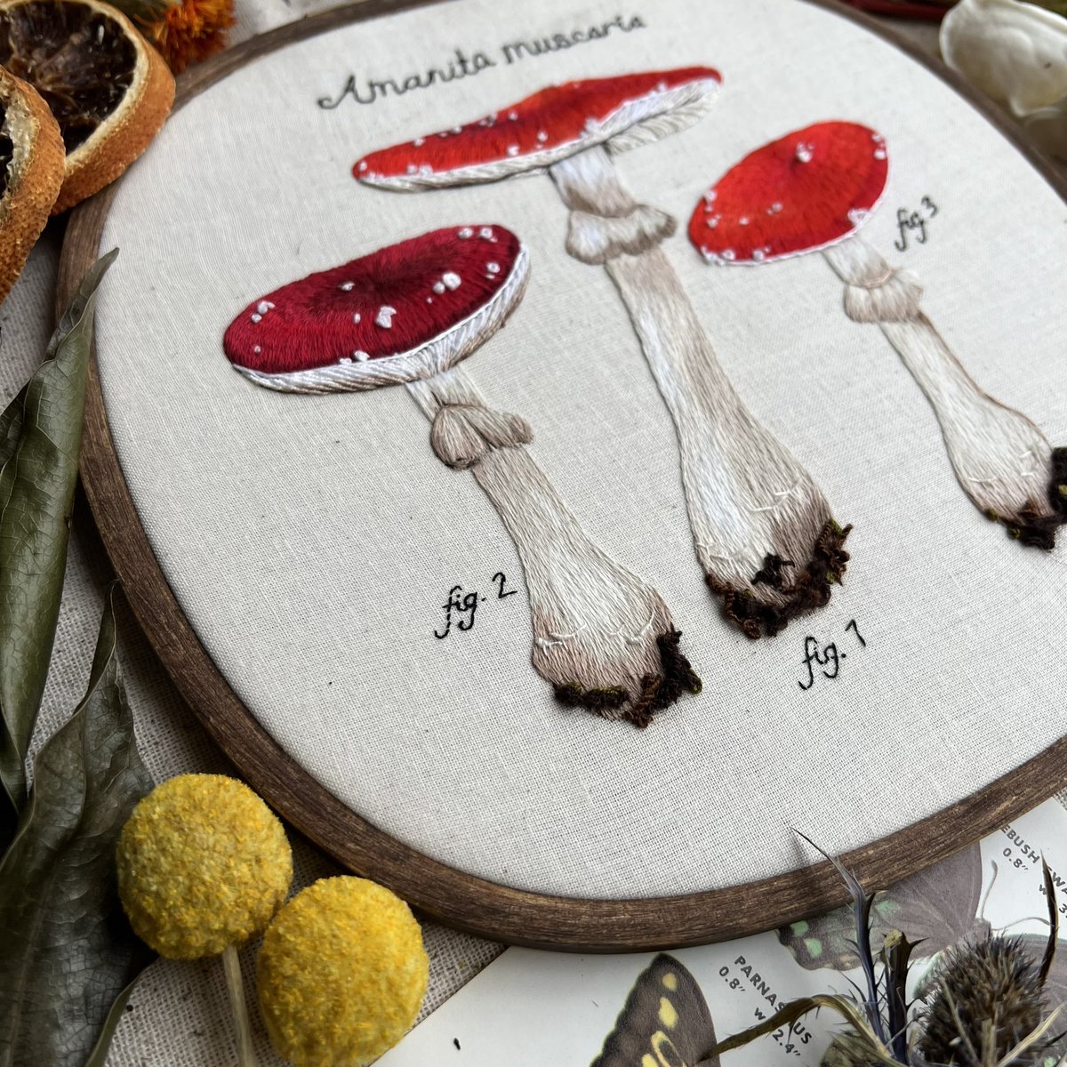 ✨ morgan ✨ tweet media