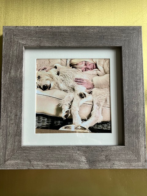 cindygallop.eth tweet media