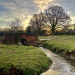 Photo by ATWAG Coventry (@AtwagC)