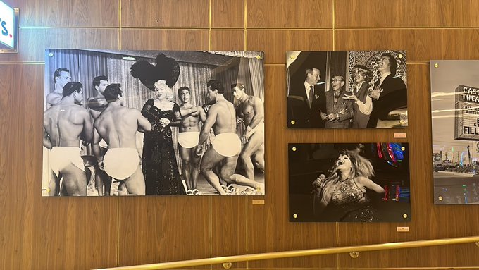 It was a cathartic experience this AVN. Greatfuls an understatement. But seeing these ladies on the wall