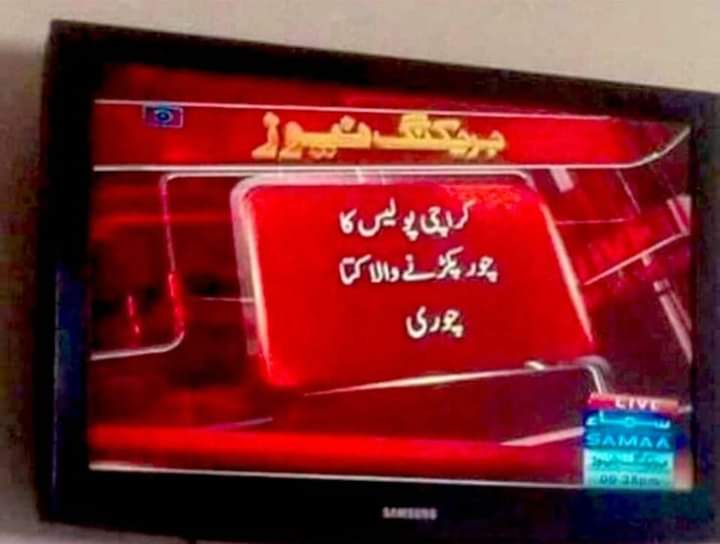 🤣🤣🤣🤣🤣🤣 Had ha yar  😆
