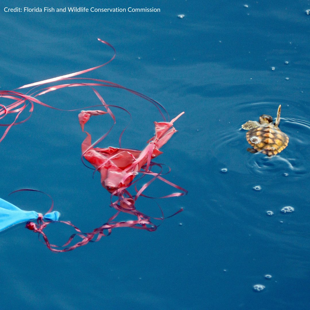 LAVeganNative 🏹 🧜‍♀️🐬🐳🐋🌊 on Twitter "RT oceana As plastics continue