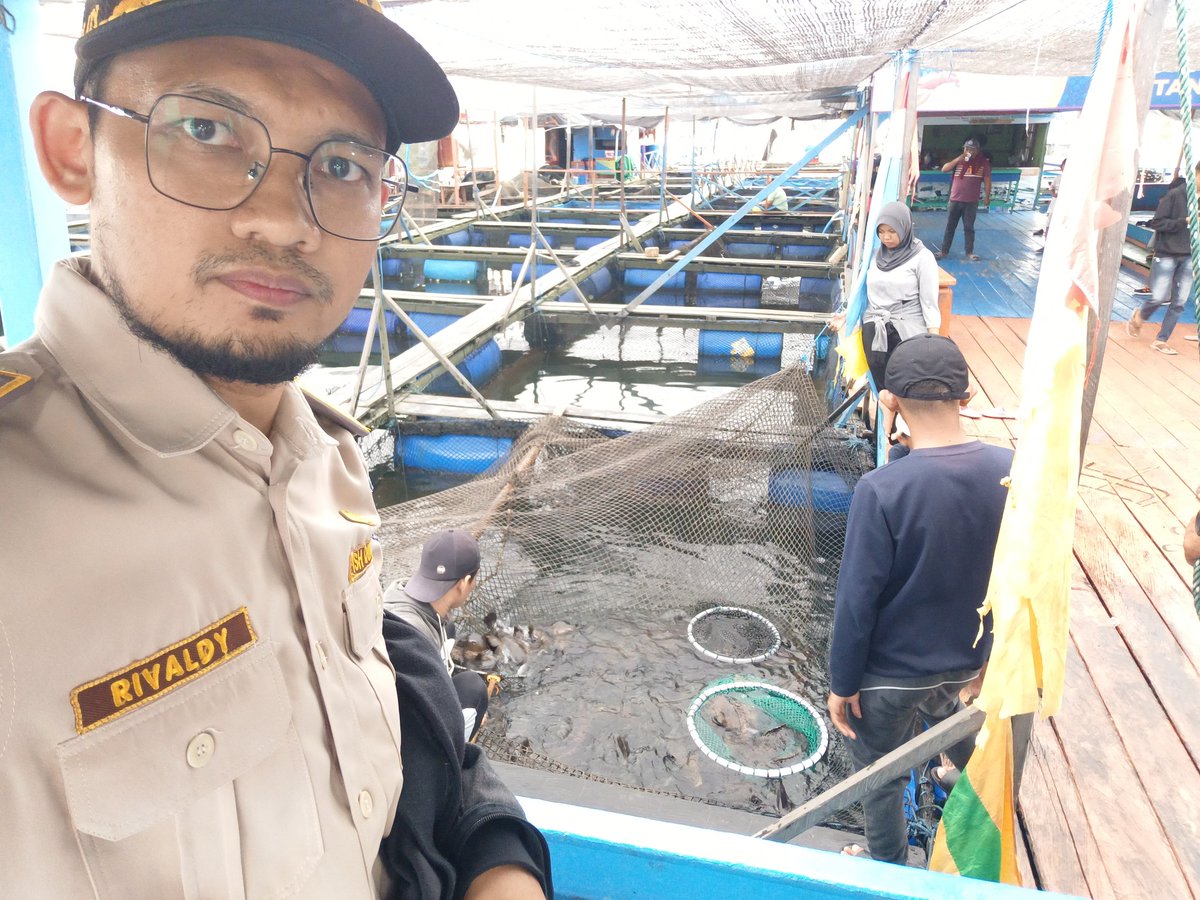 BKIPMBontang's tweet photo. Proses pemuatan ikan kerapu Tujuan Pulau Muaratua Berau
@BuTariPmk
@BKIPMBalikpapan 
@ekosulys24 https://t.co/7nIc5kOuZY