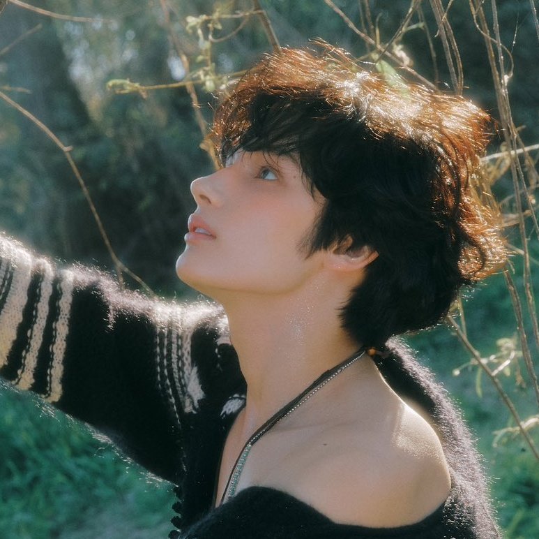 btxt archive saw hobi! (@0x1_1304) on Twitter photo 