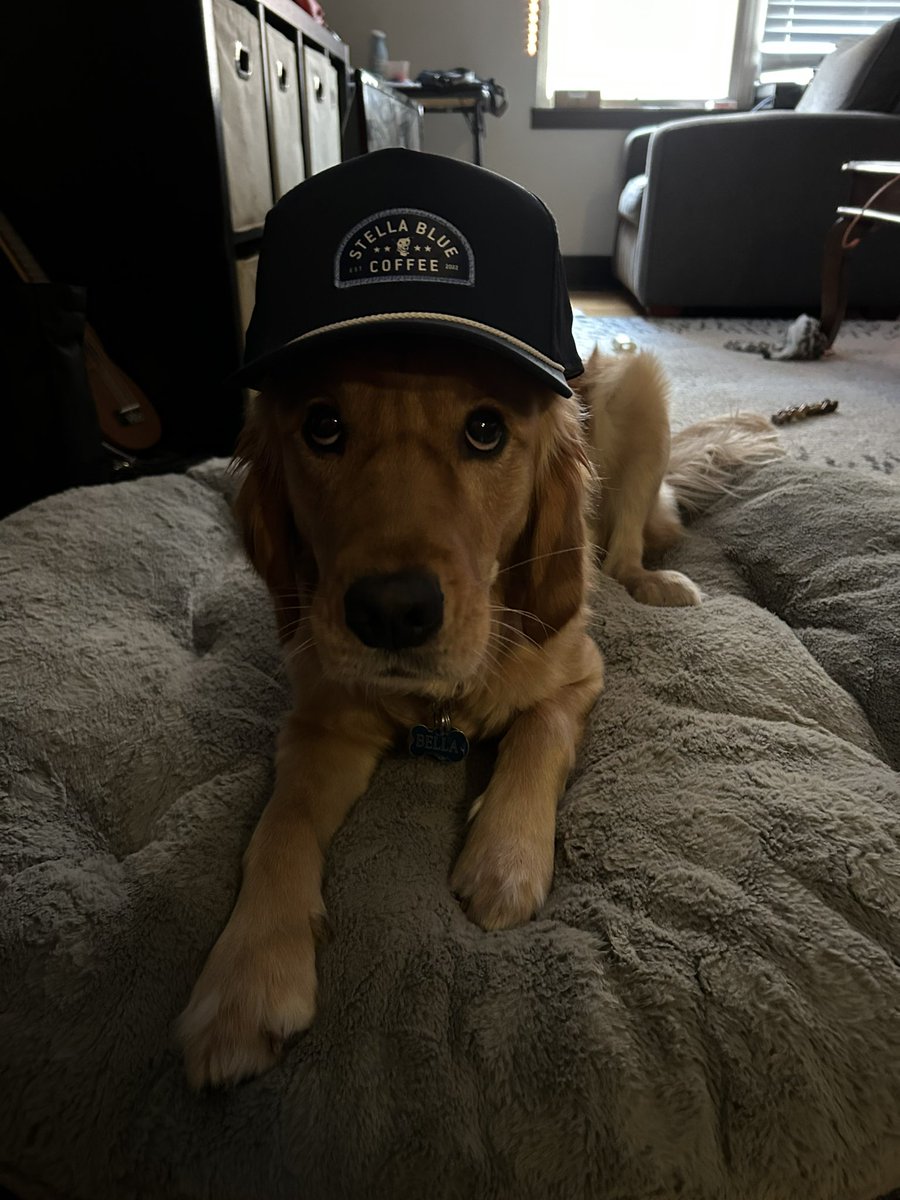 Joe_Kapp4's tweet photo. Ready for game day @BarstoolBigCat @StellaBlueCoff https://t.co/hBHqxOvmyB