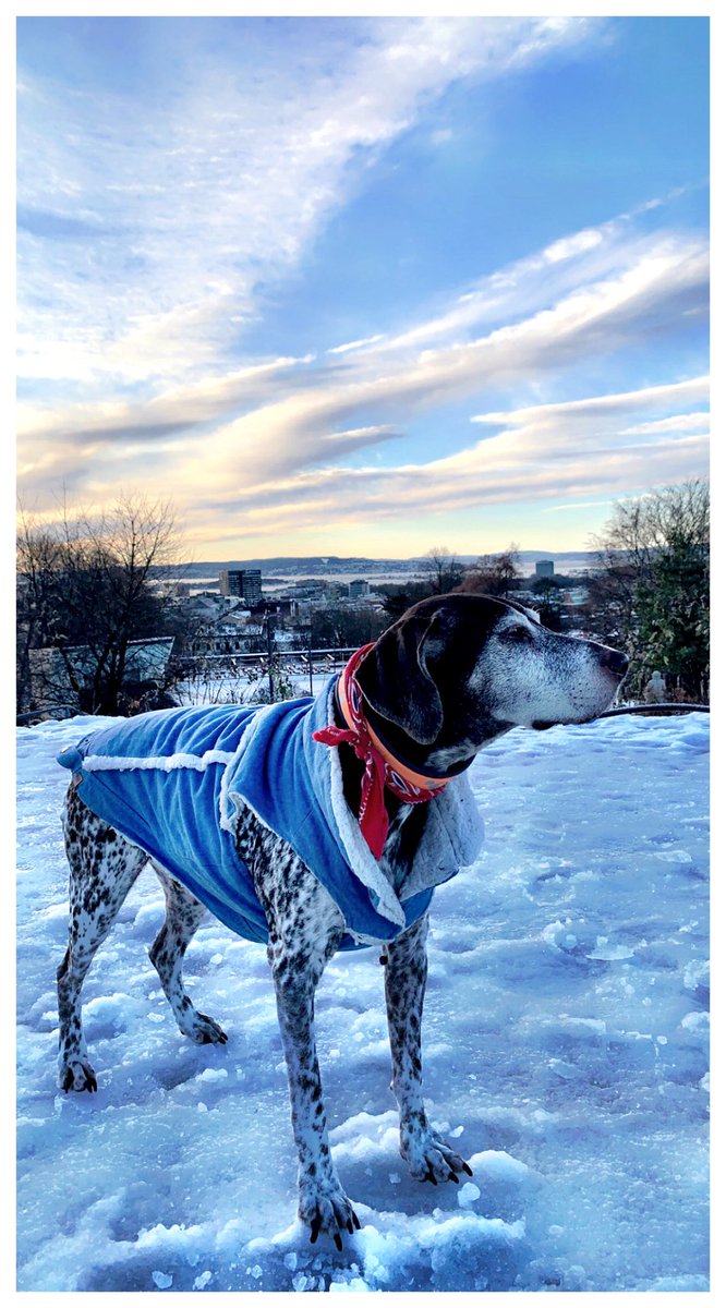 Pia Soderblom tweet media