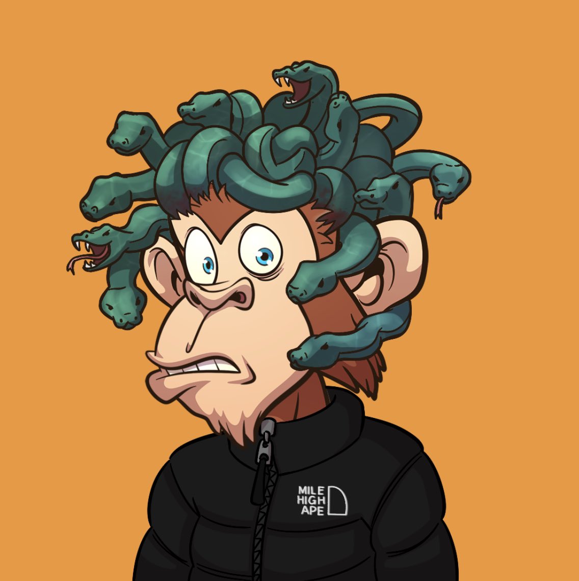 ChainSnackers's tweet photo. SOLD: 35 SOL Medusa Mile High Ape

One of the rarest traits in our first collection the Medusa hair has found a new home. 

Make sure you aren’t caught with a listed ape during our snapshot you will regret it friends. 📸

There is a new bounty expiring 1/2/23 Ape Army 🦧 https://t.co/6HmTyzgfBX