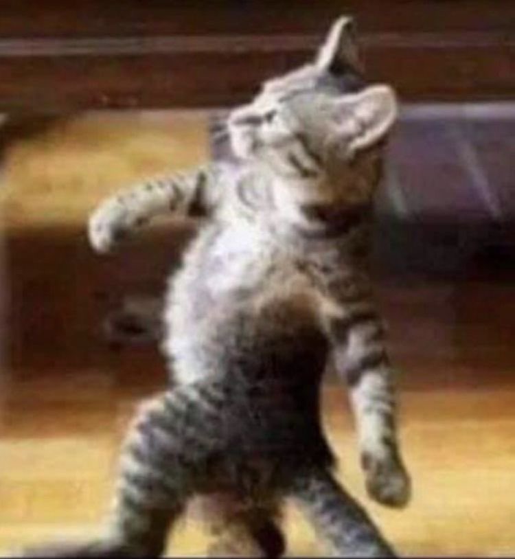 isa nyam nyam tweet media