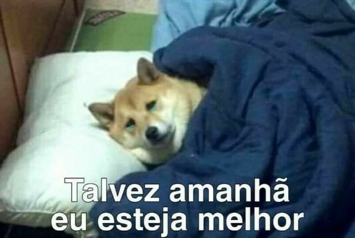 o_musicfy's tweet photo. Eu todo dia https://t.co/GbRpDhUUAC