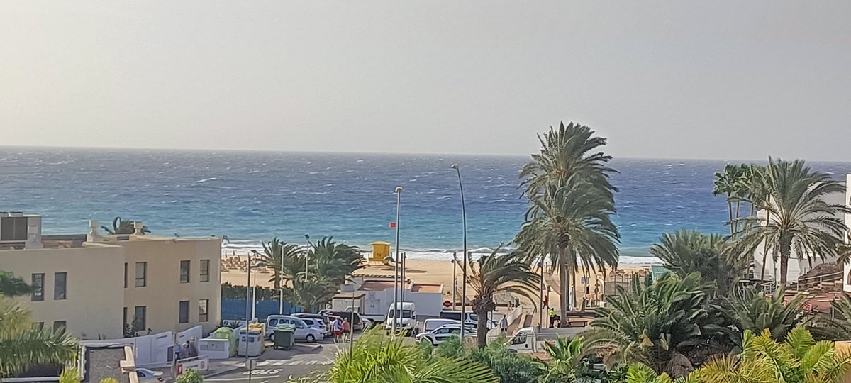 Juan Luis Lazaro tweet media