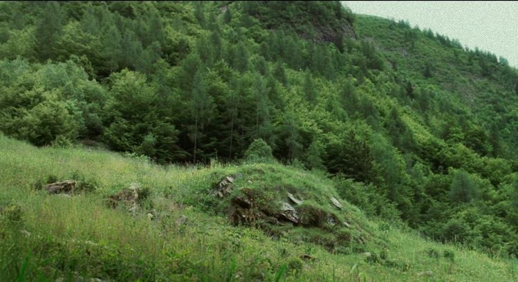 visionsinfilm's tweet photo. https://t.co/OkxIjjkOBT