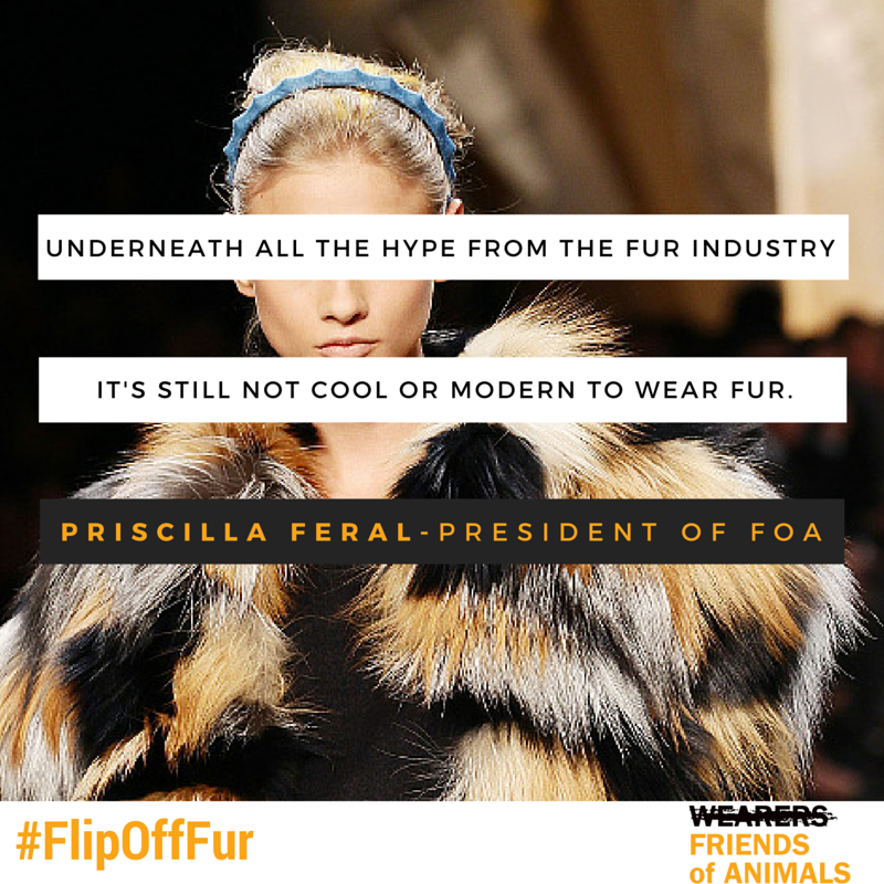 pferal's tweet photo. Cheers for Jan. 1, 2023 as California leads with a ban on the sale of new retail #fur in clothing, shoes or handbags. Many designers have stopped using fur as a result. #FlipOffFur https://t.co/jPoaI6y8wf