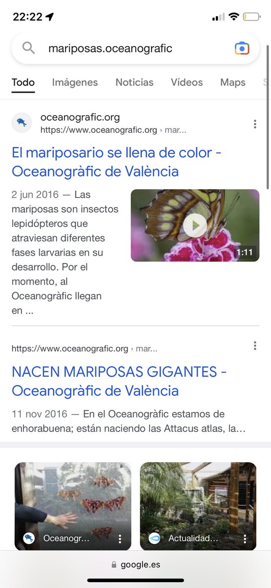 AndreaCerdanC's tweet photo. @menudenuggets Lo peor de todo es que si que hay 😂 https://t.co/GjmAClmHse