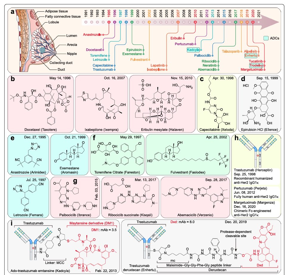 A good Tuesday read 🧑🏽‍🏫- 
Small-molecule inhibitors, immune checkpoint inhibitors, and more: FDA-approved novel therapeutic drugs for solid tumors from 1991 to 2021 jhoonline.biomedcentral.com/articles/10.11…