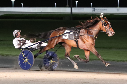 DRF Harness tweet media