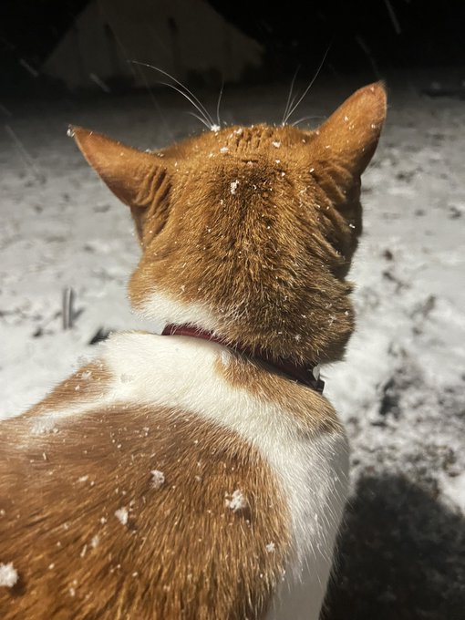 Blessed is the darkness #PraiseFreyja https://t.co/vHZoA5K9RF