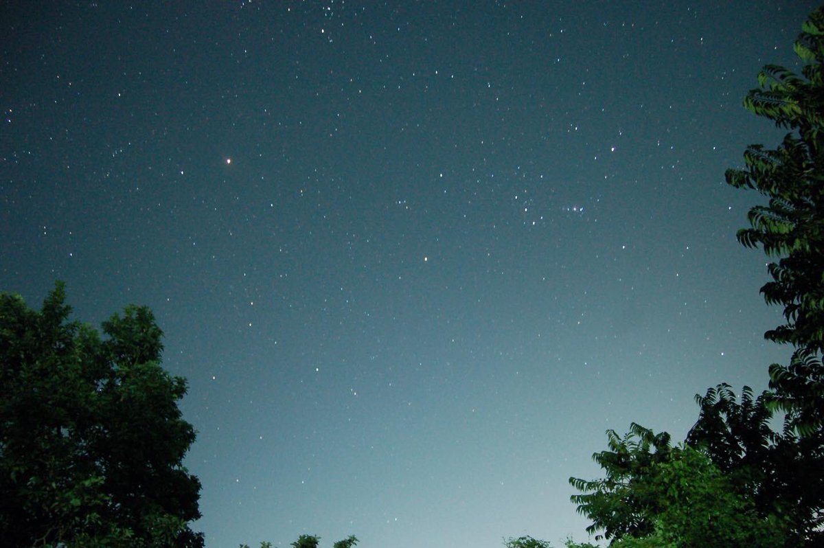 LemonsWare's tweet photo. Starry nights #photography #NightPhotography #photographer  #nikonphotography https://t.co/rG6jYAV7eV
