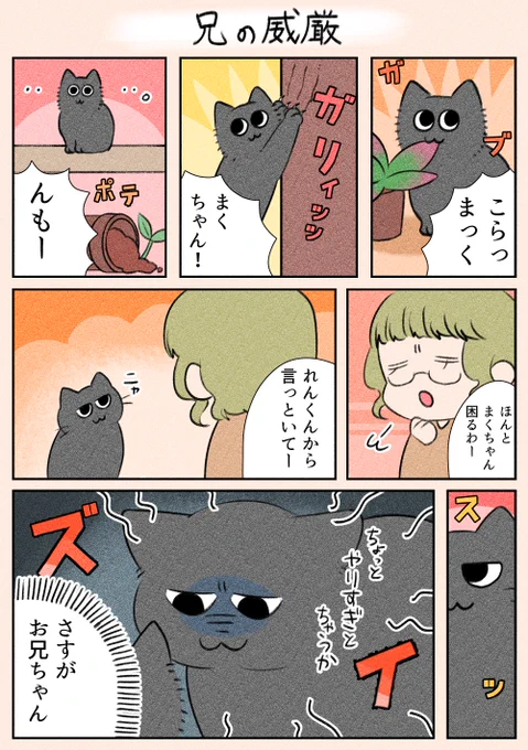 「兄の威厳」
圧をかけられたまくですが、なんとも思ってない感じでした(笑)

#漫画が読めるハッシュタグ
#日常
#猫 
