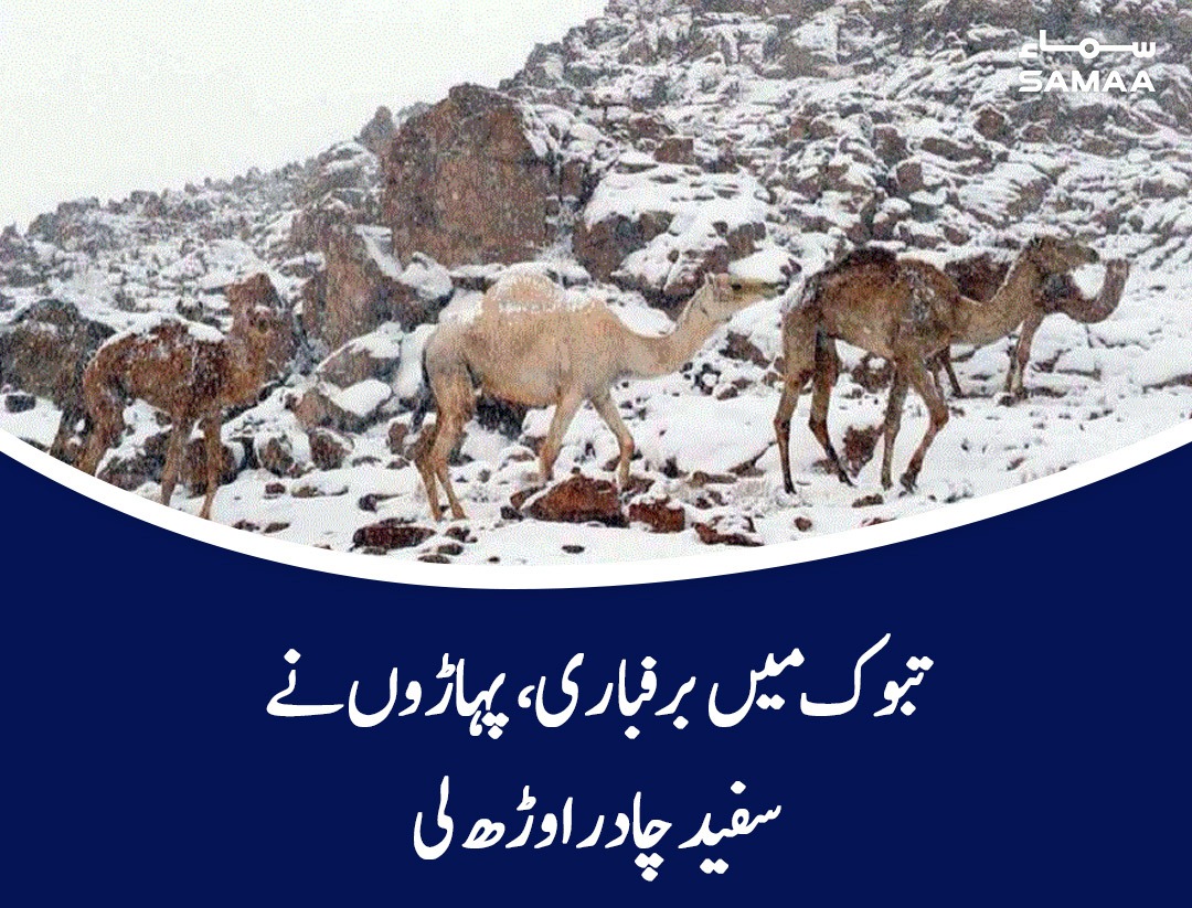 SAMAATV's tweet photo. سعودی عرب کے مختلف علاقوں میں سردی کی شدت میں اضافہ
https://t.co/xlIdg2gkFu
#SamaaTV #SaudiArabia #Winters #TABOOK https://t.co/t2LQlUXMR8