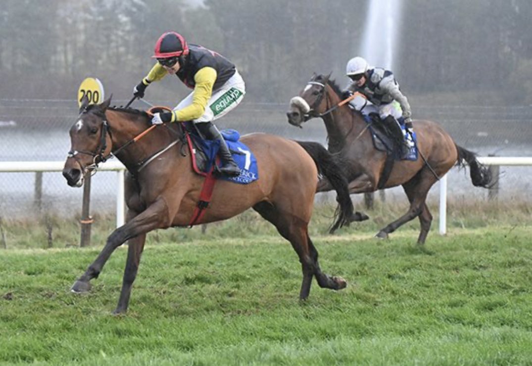 Delighted to have sold two winners today, SHECOULDBEANYTHING <a href="/LimerickRaces/">Limerick Races</a> and QUICK SHARPENER <a href="/WetherbyRaces/">Wetherby Racecourse</a> 

Well done connections 👏👏