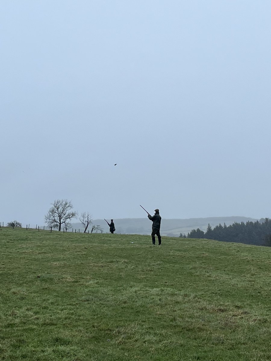 danholley99's tweet photo. Lovely day up at Quernmore hall. Kind invite of the Osmond’s. Birds flue well, beaters worked hard. All finished done before the weather set in. @chattam76 white pheasant was shot you owe £50 😂😂 https://t.co/U27B3WvCIU