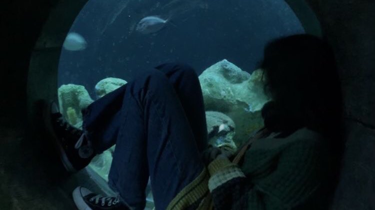 nico 🪼|| free 🇵🇸🇸🇩 tweet media