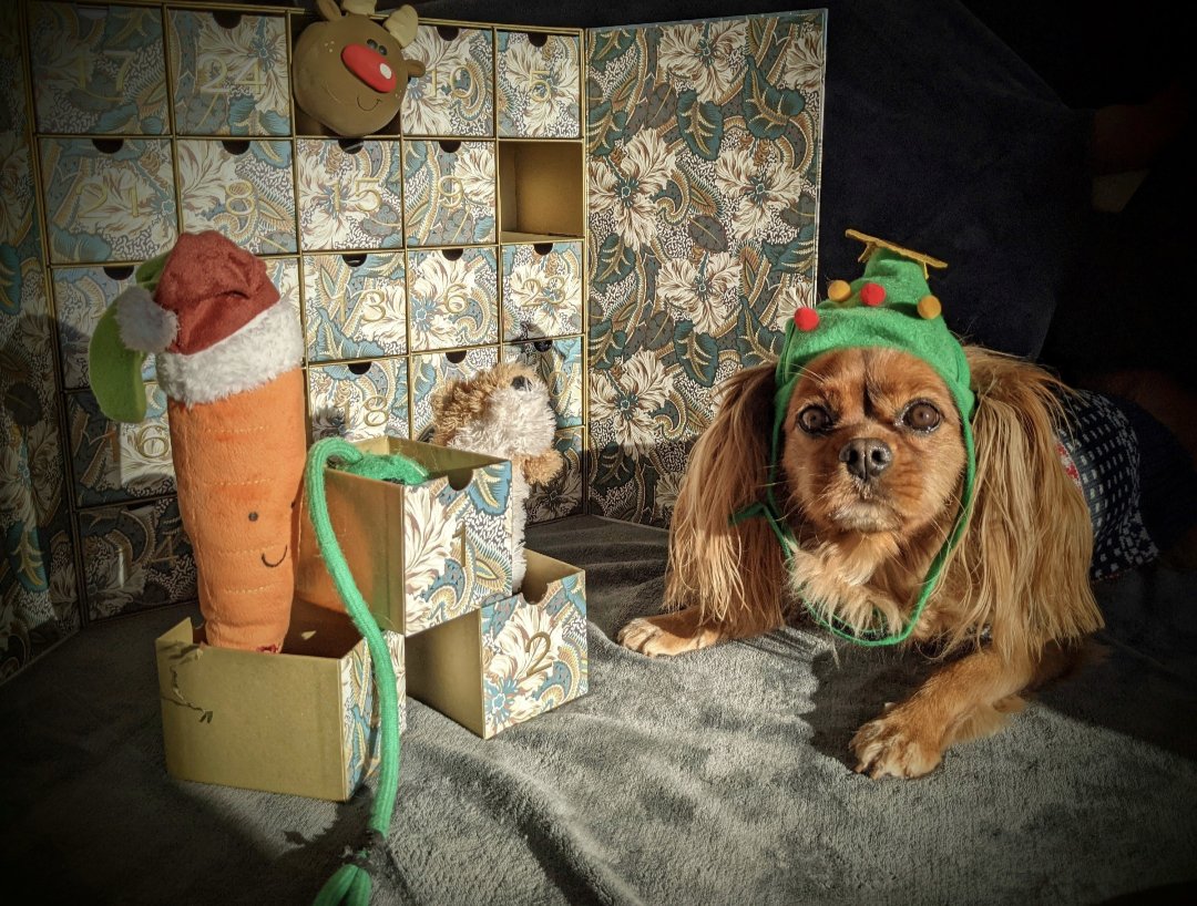 Ceri Beri tweet media